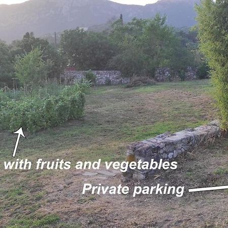 Villa Grecia Liapades Exteriér fotografie